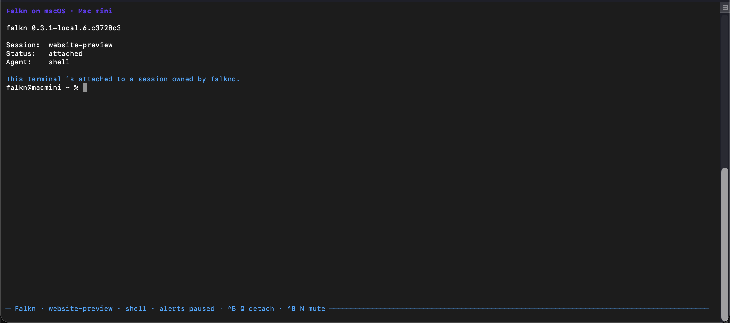 Falkn command-line session list running in Terminal on macOS